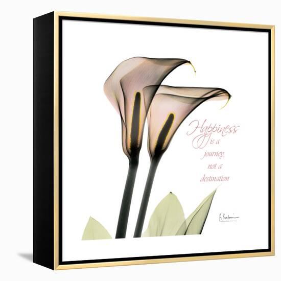 Calla Lily Happiness-Albert Koetsier-Framed Stretched Canvas