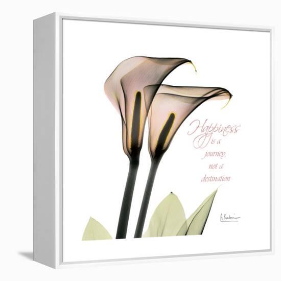 Calla Lily Happiness-Albert Koetsier-Framed Stretched Canvas