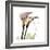 Calla Lily Happiness-Albert Koetsier-Framed Premium Giclee Print