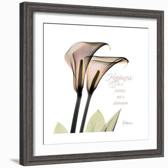 Calla Lily Happiness-Albert Koetsier-Framed Premium Giclee Print