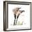 Calla Lily Happiness-Albert Koetsier-Framed Premium Giclee Print