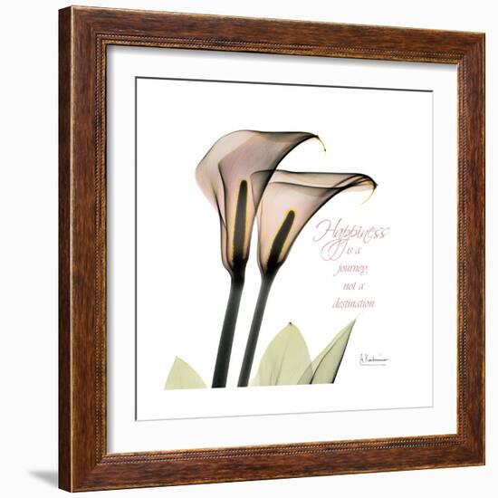 Calla Lily Happiness-Albert Koetsier-Framed Premium Giclee Print