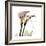 Calla Lily Happiness-Albert Koetsier-Framed Premium Giclee Print