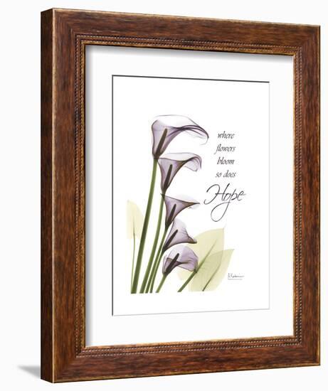 Calla Lily Hope-Albert Koetsier-Framed Art Print