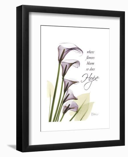 Calla Lily Hope-Albert Koetsier-Framed Art Print