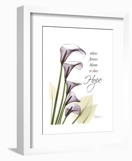 Calla Lily Hope-Albert Koetsier-Framed Art Print