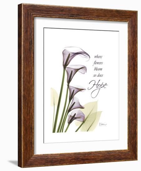 Calla Lily Hope-Albert Koetsier-Framed Premium Giclee Print