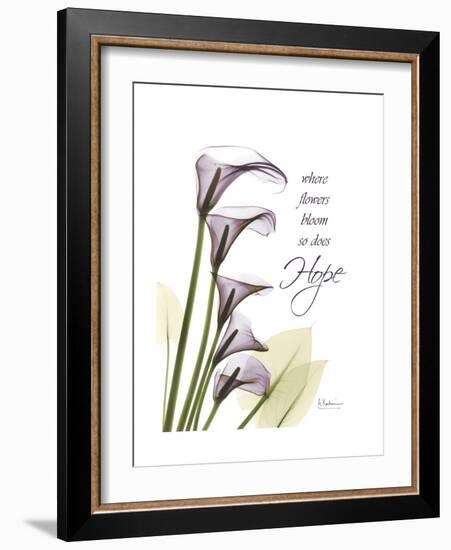 Calla Lily Hope-Albert Koetsier-Framed Premium Giclee Print