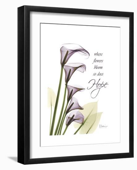 Calla Lily Hope-Albert Koetsier-Framed Premium Giclee Print