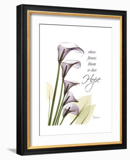 Calla Lily Hope-Albert Koetsier-Framed Premium Giclee Print