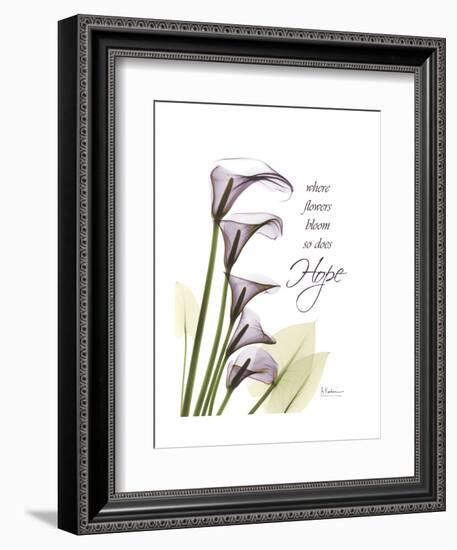 Calla Lily Hope-Albert Koetsier-Framed Premium Giclee Print