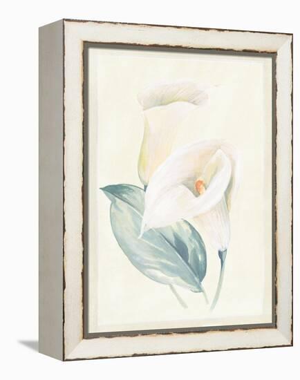 Calla Lily I-Paul Hargittai-Framed Stretched Canvas