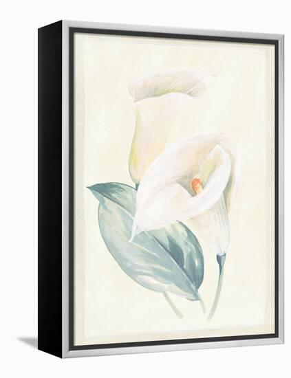 Calla Lily I-Paul Hargittai-Framed Stretched Canvas