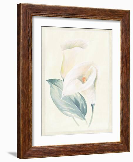 Calla Lily I-Paul Hargittai-Framed Art Print