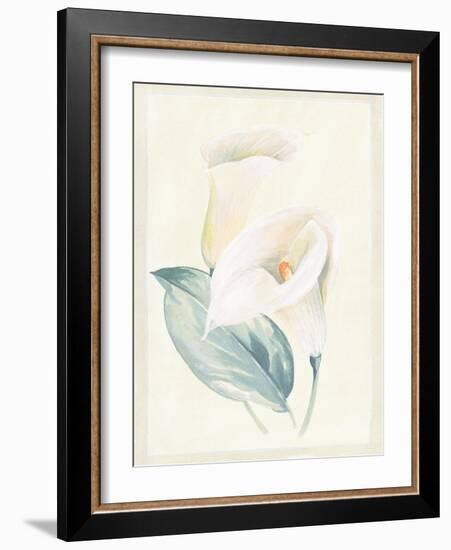 Calla Lily I-Paul Hargittai-Framed Art Print