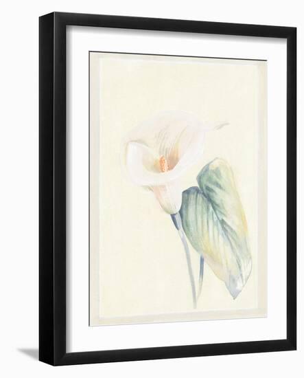 Calla Lily II-Paul Hargittai-Framed Art Print