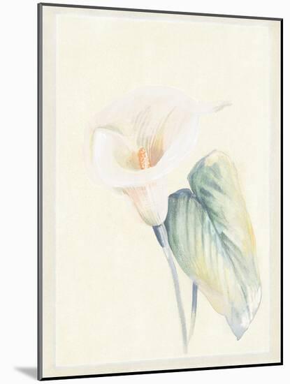 Calla Lily II-Paul Hargittai-Mounted Art Print