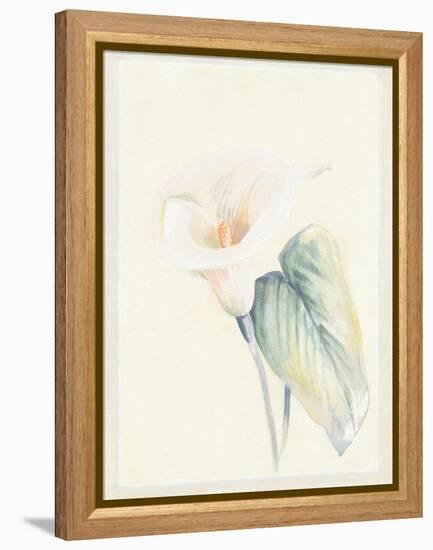 Calla Lily II-Paul Hargittai-Framed Stretched Canvas