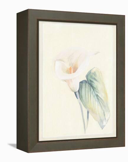 Calla Lily II-Paul Hargittai-Framed Stretched Canvas