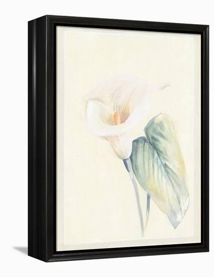 Calla Lily II-Paul Hargittai-Framed Stretched Canvas