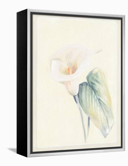 Calla Lily II-Paul Hargittai-Framed Stretched Canvas