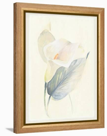 Calla Lily III-Paul Hargittai-Framed Stretched Canvas