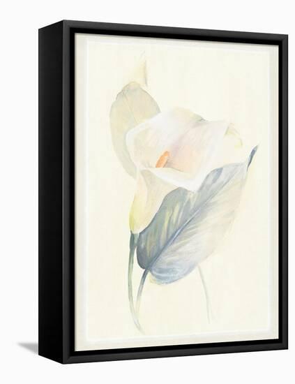 Calla Lily III-Paul Hargittai-Framed Stretched Canvas