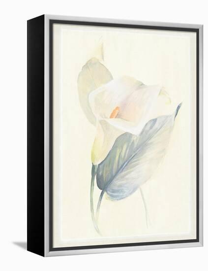 Calla Lily III-Paul Hargittai-Framed Stretched Canvas