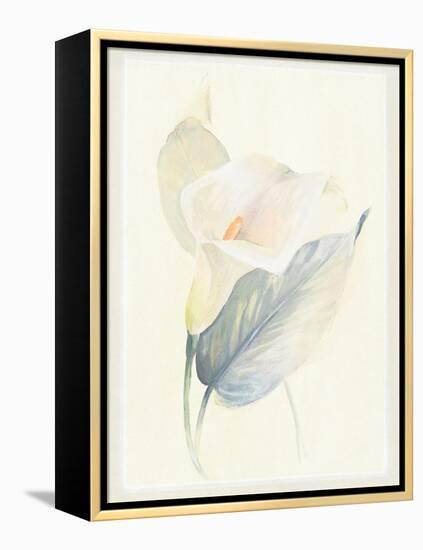 Calla Lily III-Paul Hargittai-Framed Stretched Canvas