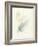 Calla Lily III-Paul Hargittai-Framed Art Print