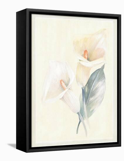 Calla Lily IV-Paul Hargittai-Framed Stretched Canvas