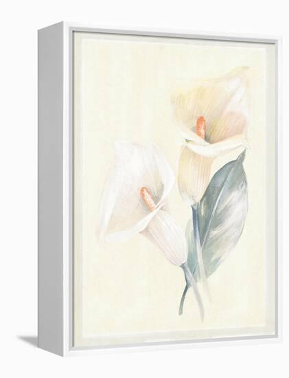 Calla Lily IV-Paul Hargittai-Framed Stretched Canvas