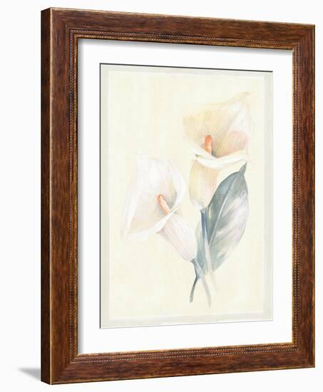 Calla Lily IV-Paul Hargittai-Framed Art Print