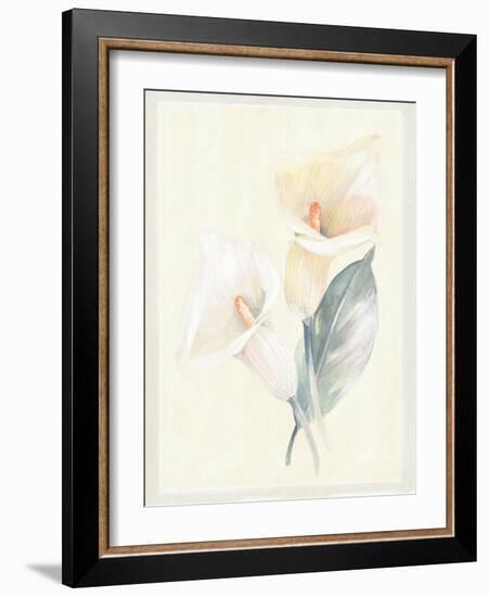 Calla Lily IV-Paul Hargittai-Framed Art Print