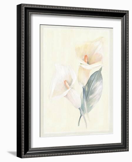 Calla Lily IV-Paul Hargittai-Framed Art Print