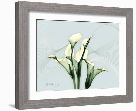 Calla Lily L275-Albert Koetsier-Framed Art Print