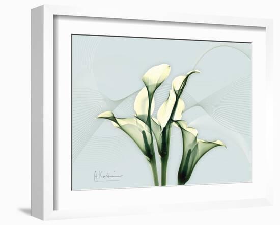 Calla Lily L275-Albert Koetsier-Framed Art Print