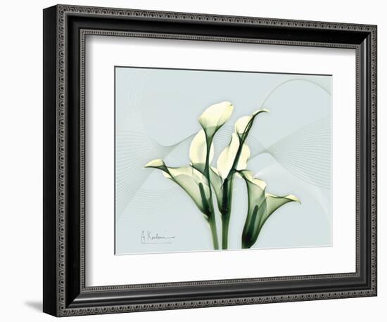 Calla Lily L275-Albert Koetsier-Framed Premium Giclee Print