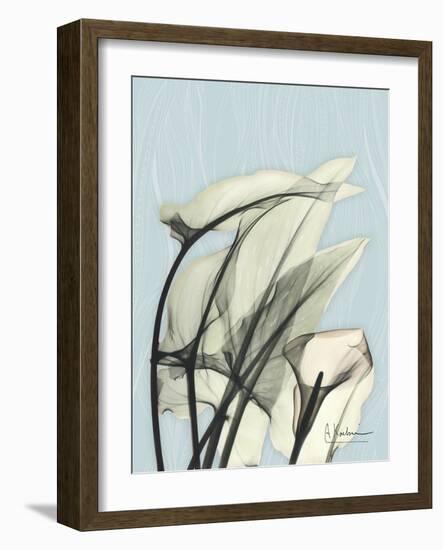 Calla Lily Leaves-Albert Koetsier-Framed Art Print