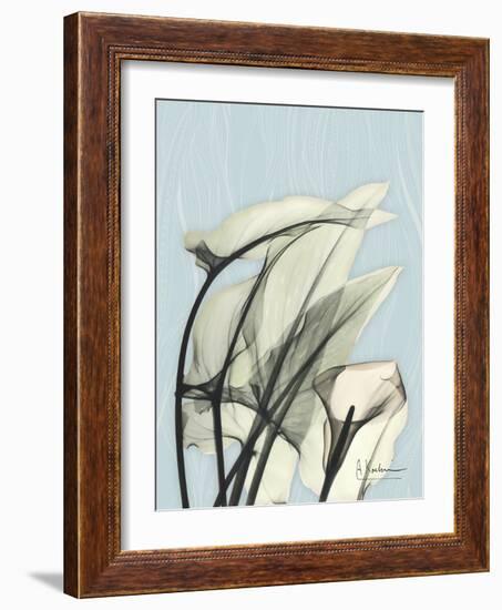 Calla Lily Leaves-Albert Koetsier-Framed Art Print