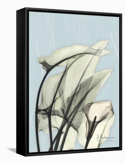 Calla Lily Leaves-Albert Koetsier-Framed Stretched Canvas