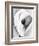 Calla Lily, Mexico City, 1925-Tina Modotti-Framed Giclee Print