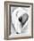 Calla Lily, Mexico City, 1925-Tina Modotti-Framed Giclee Print