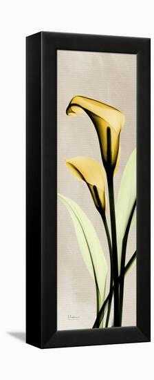 Calla Lily Moment-Albert Koetsier-Framed Stretched Canvas
