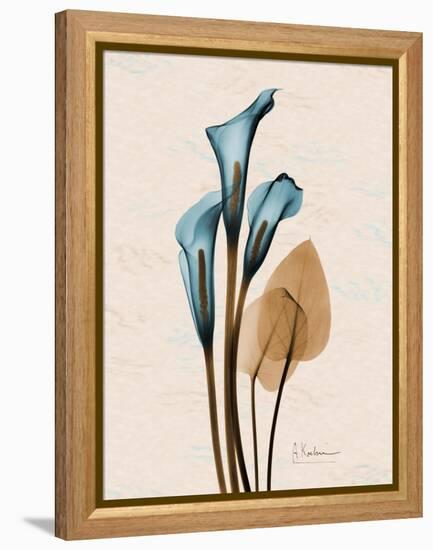 Calla Lily Moments-Albert Koetsier-Framed Stretched Canvas