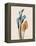 Calla Lily Moments-Albert Koetsier-Framed Stretched Canvas