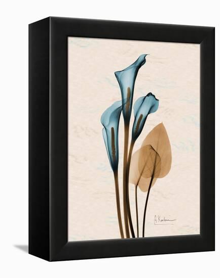 Calla Lily Moments-Albert Koetsier-Framed Stretched Canvas