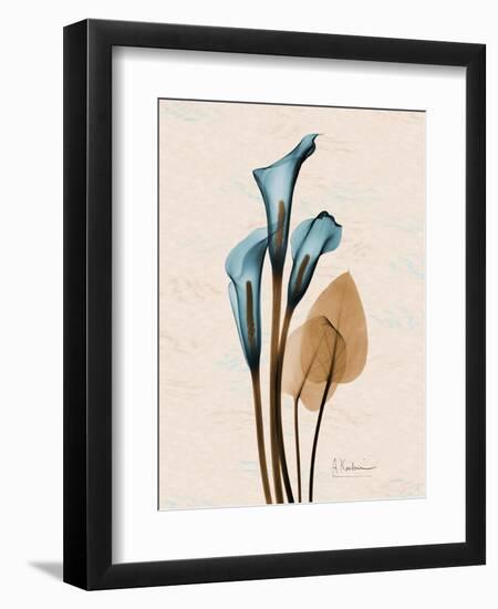 Calla Lily Moments-Albert Koetsier-Framed Art Print