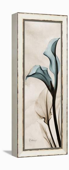 Calla Lily Moments-Albert Koetsier-Framed Stretched Canvas