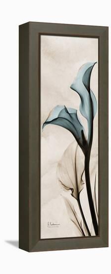 Calla Lily Moments-Albert Koetsier-Framed Stretched Canvas